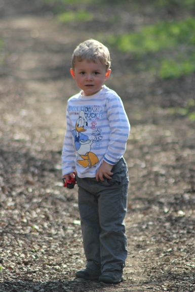 oliver