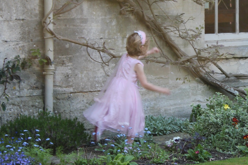 fairy
