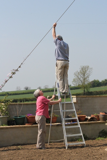 ladder
