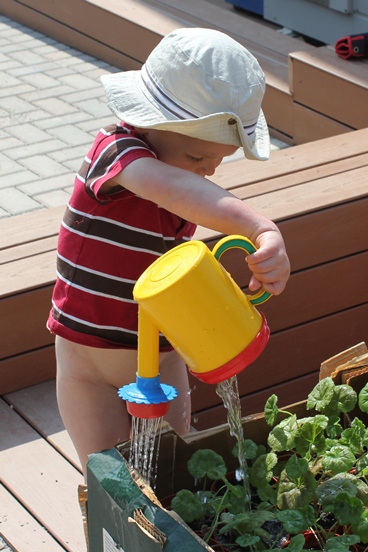 watering