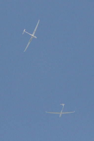 gliders