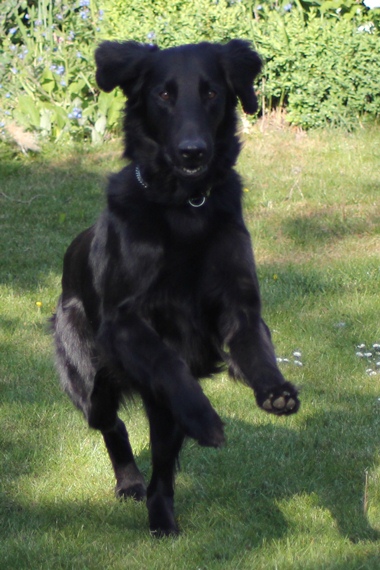 jump